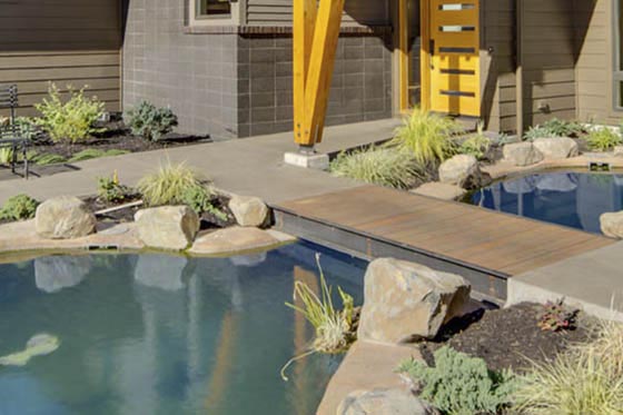 Fire_Water_Illumination_5