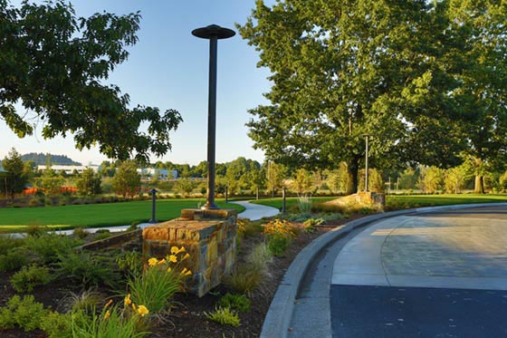 Landscape_Maintenance_4