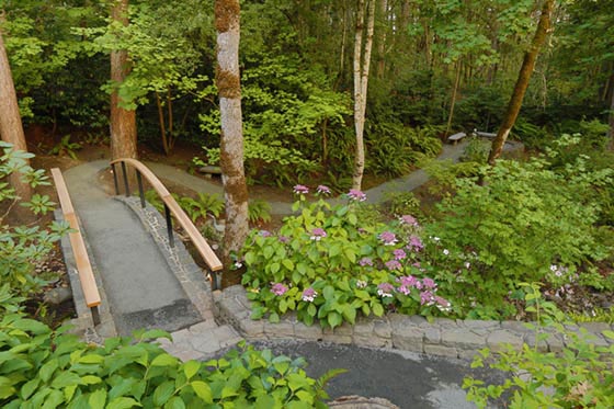 Landscape_Maintenance_5